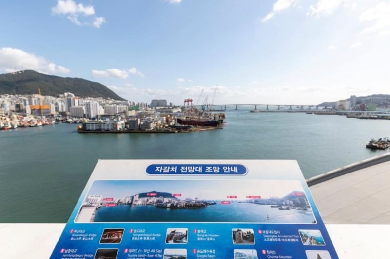 jalgachi market busan