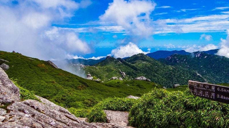 Yakushima