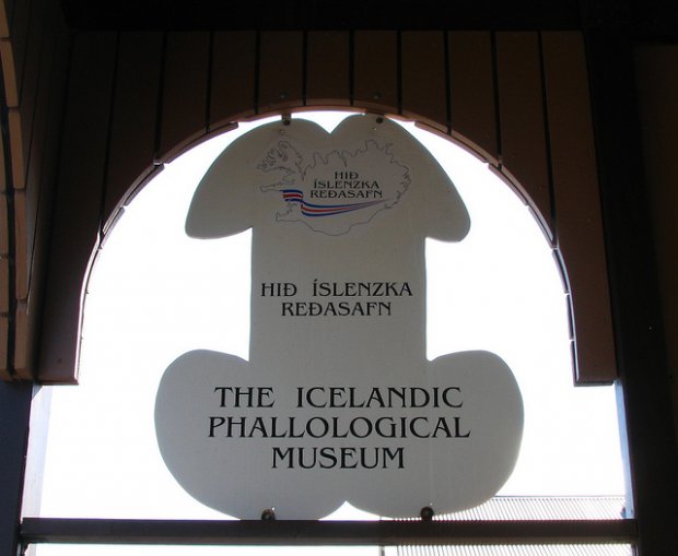 Icelandic Phallological Museum