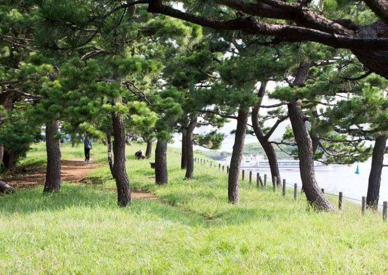 daiba park odaiba island tokyo