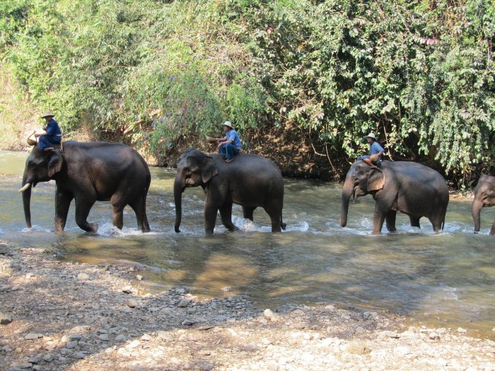 thailand travel tips