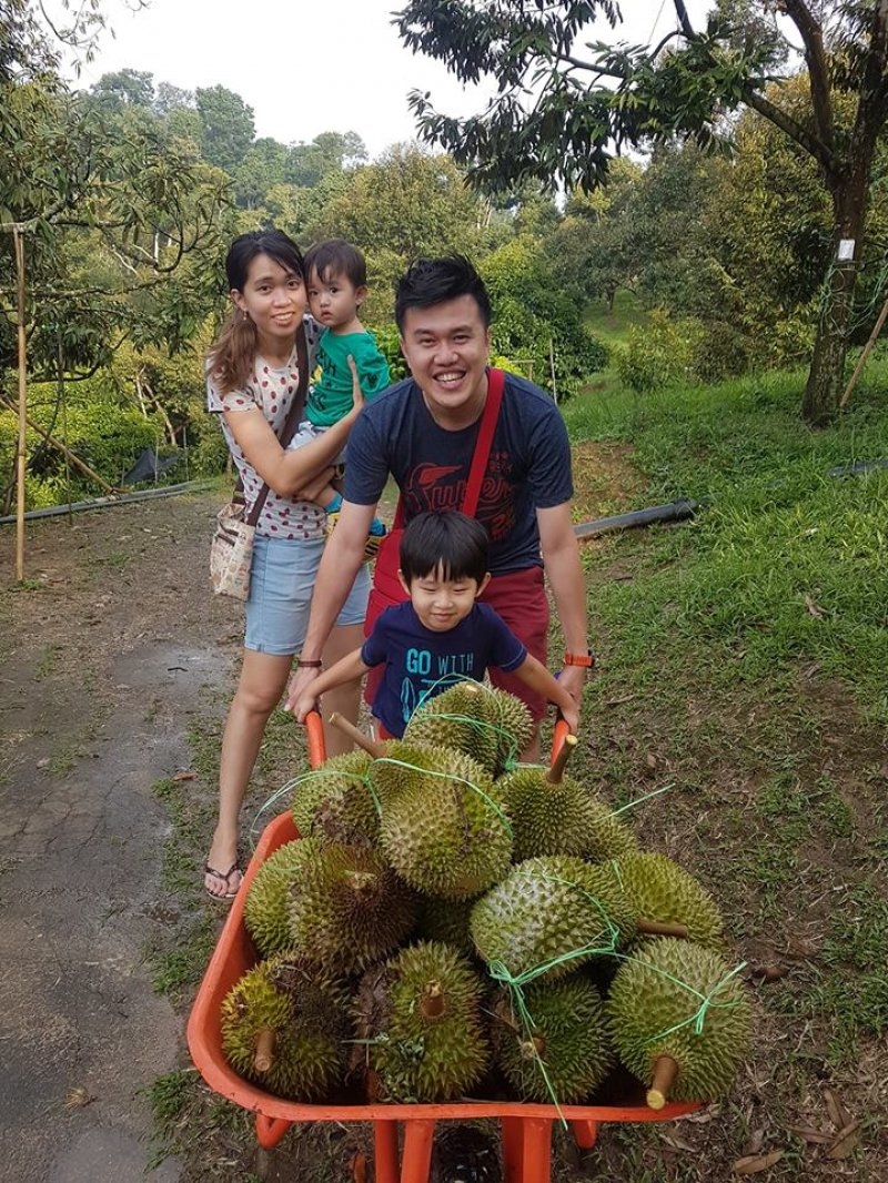malaysia durian trip