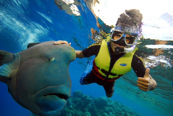 great barrier reef