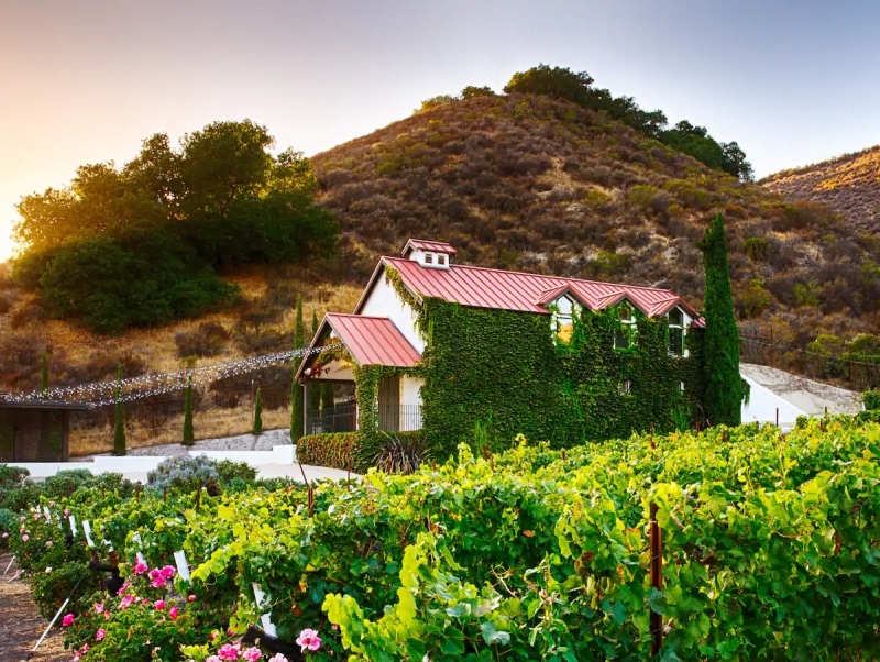 big sur airbnb