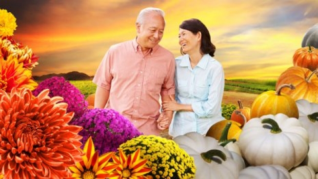 Free Entry for Local Seniors with Purchase of a Full-Priced Local Adult Admission Ticket in Gardens by the Bay