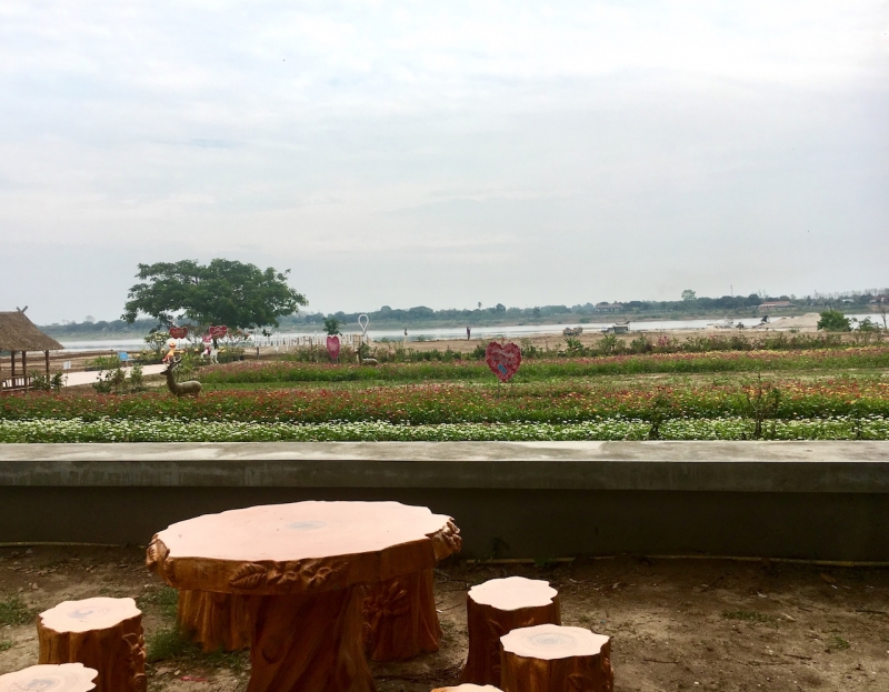 View overlooking Mekong River and Thailand from Buddha Park