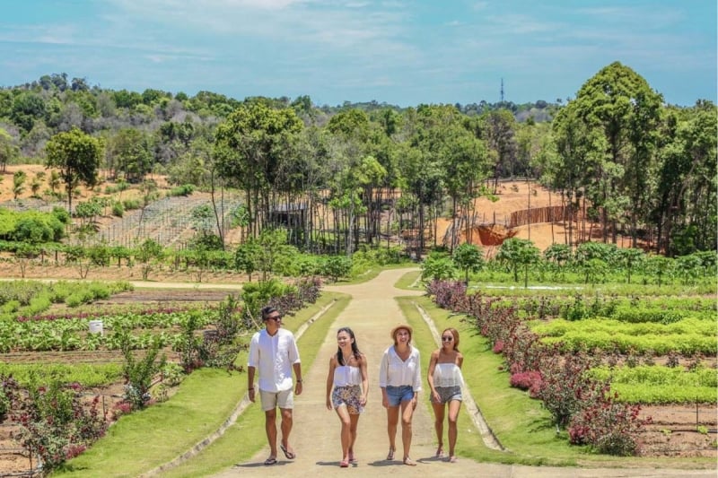 bintan eco farm
