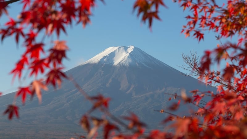 mount fuji in the autumn