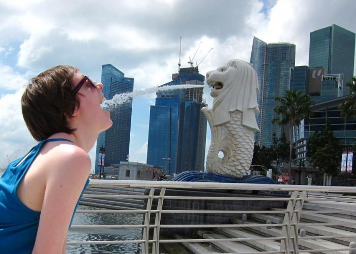 hunting down merlions