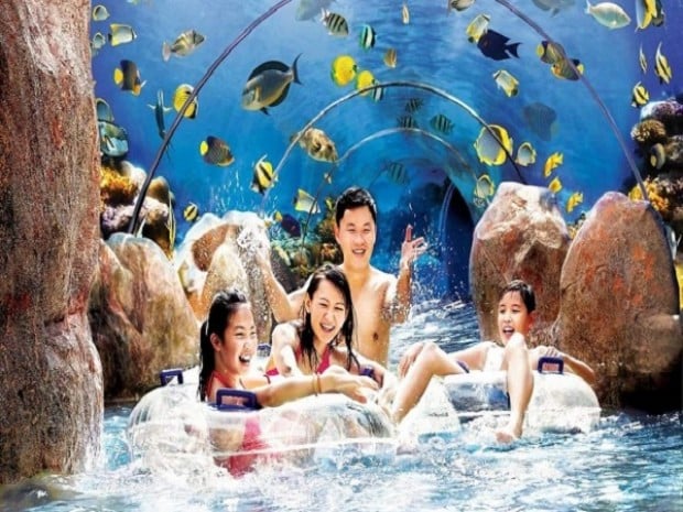Enjoy 15% Off Admission Ticket to Adventure Cove Waterpark with Citibank