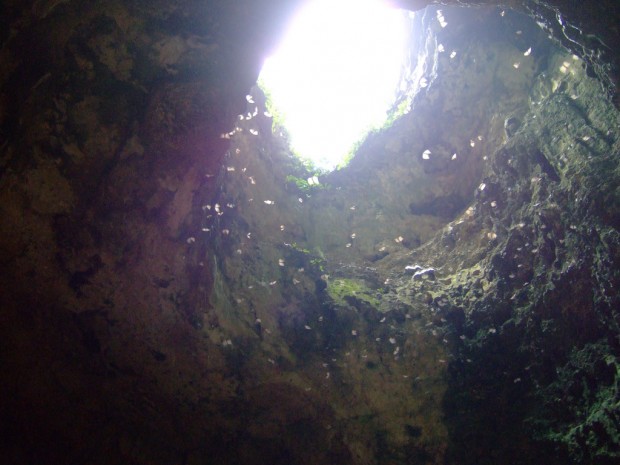 Balay sa Agta Cave in Argao, Cebu