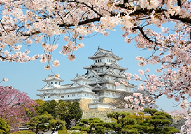 Tavel to Japan & Korea and Enjoy 8% Off on Hotel Bookings in Agoda with ANZ Card