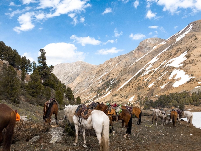 horse trekking in kazakhstan