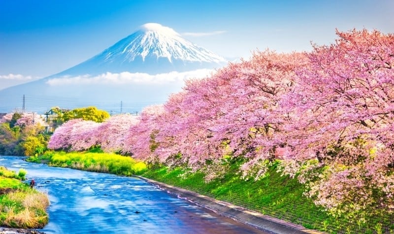 Japan Could Be Open for Foreign Tourists by Spring 2021