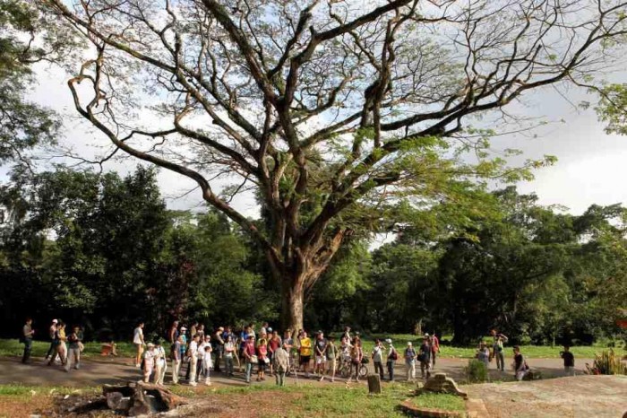 bird watching in singapore