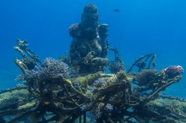 bali dive safari