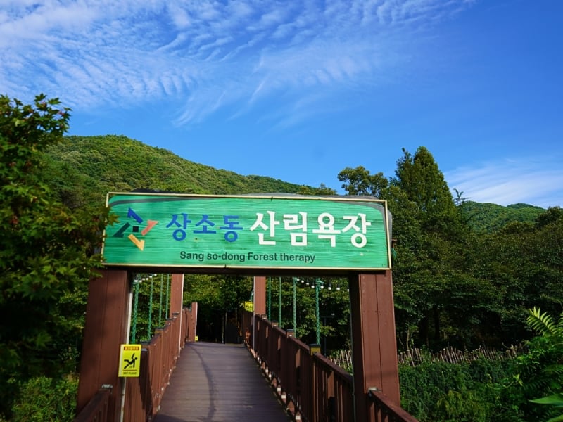 Sang so-dong Forest therapy, things to do in Daejeon