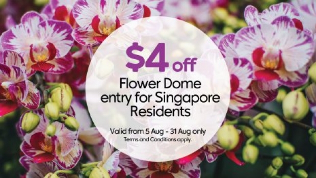 National Day Ticketing Promotion in Gardens by the Bay