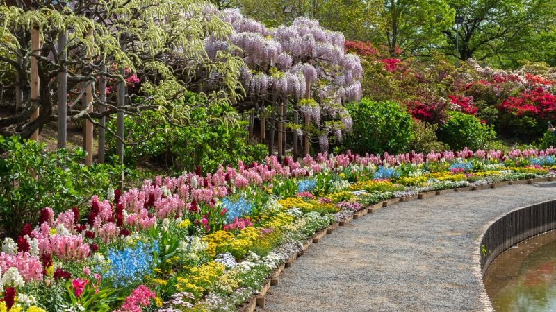 Ashikaga Flower Park