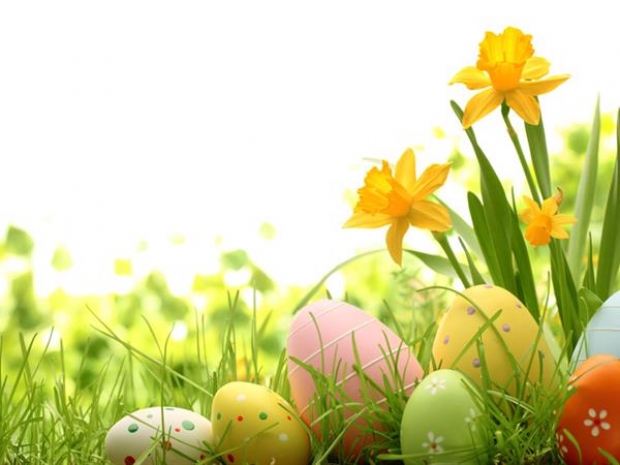 Easter Package Offer in Swiss-Belhotel Papua Jayapura with 15% Savings