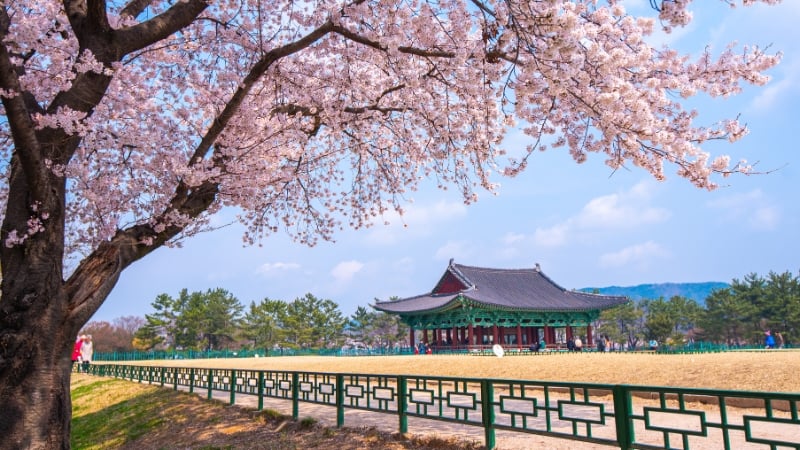 gyeongju south korea