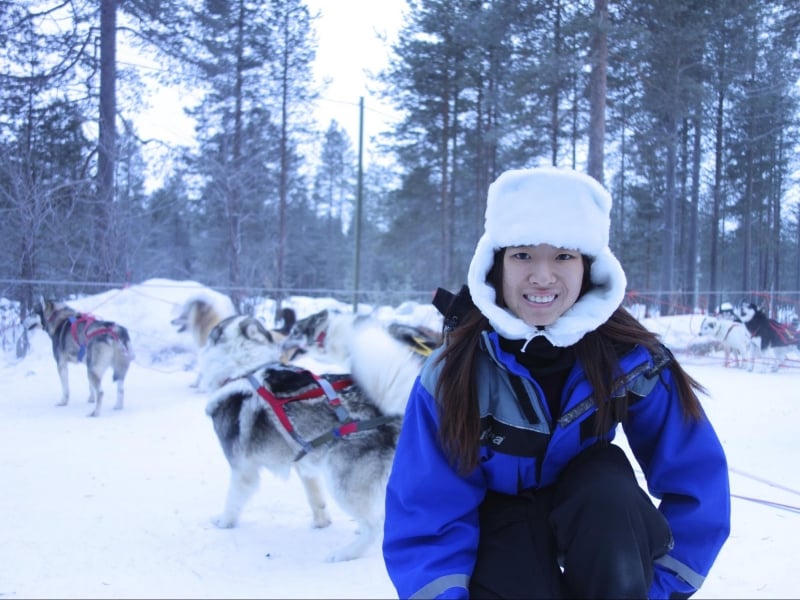 husky sledding in arctic circle