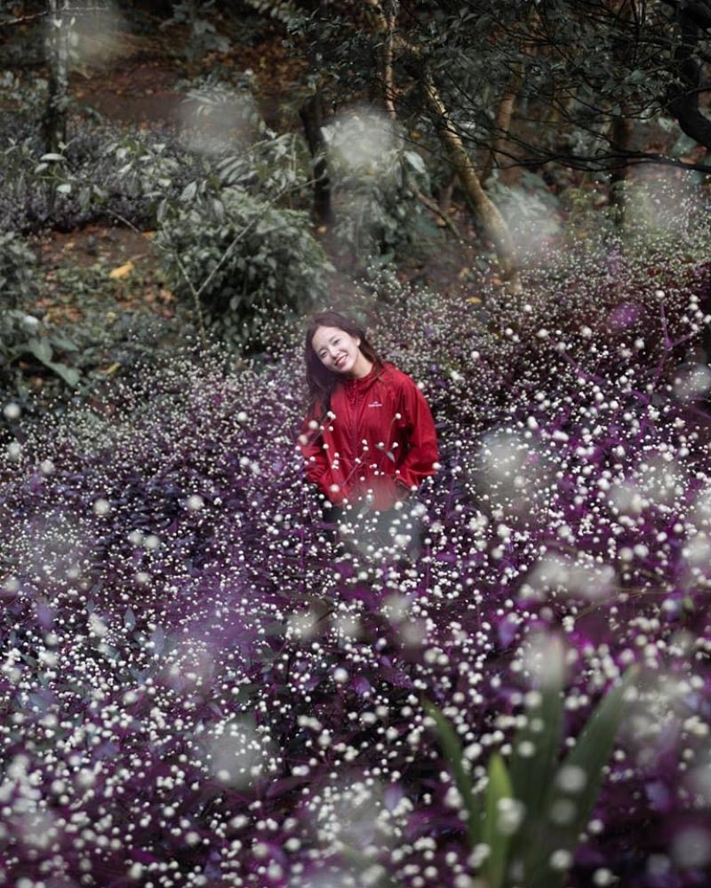 Snap away with these flowers in the Philippines at Masungi Georeserve