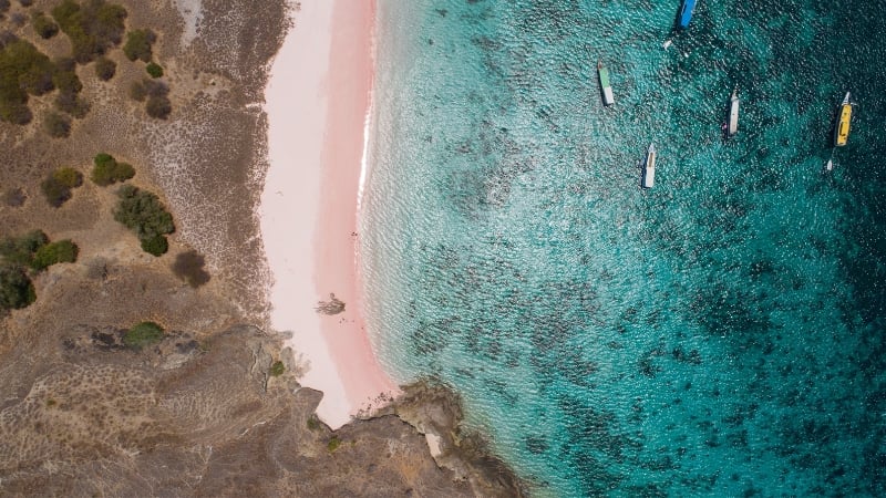 pink beach padar island komodo indonesia