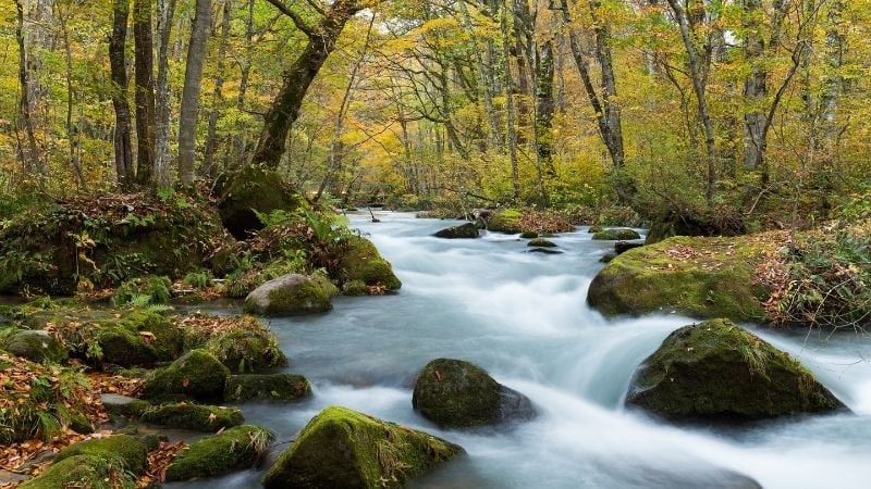 Oirase gorge