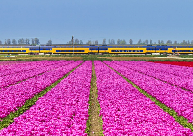 spring train trips in netherlands