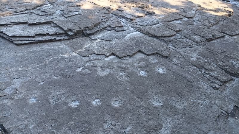 dinosaur footprints in Goseong Fossil Site, Korea