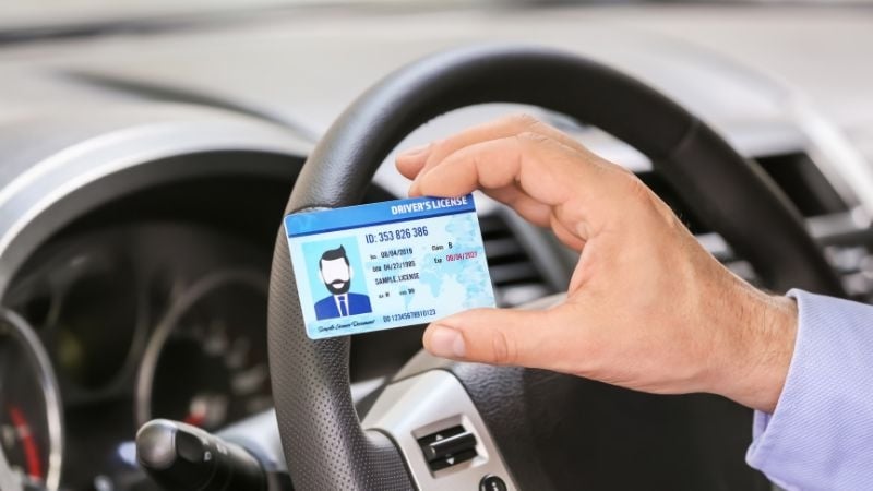 driver's license