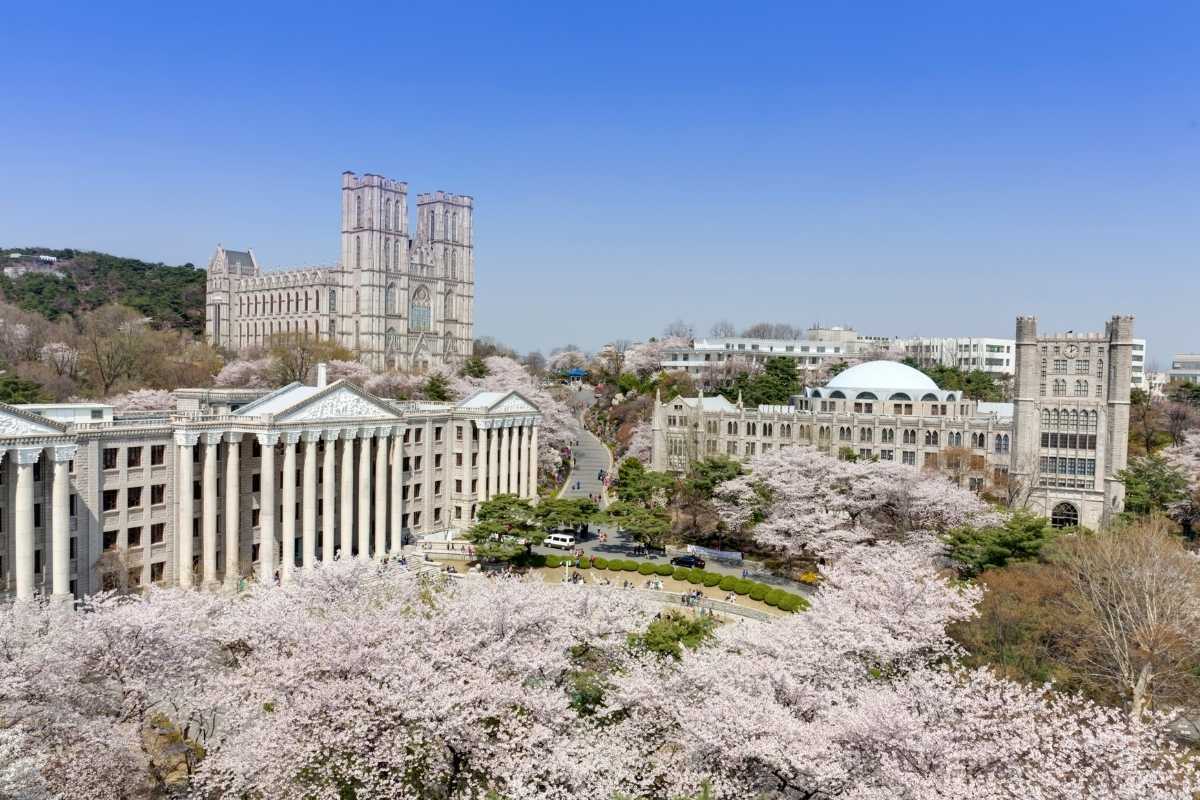 South Korea Cherry Blossoms 2026