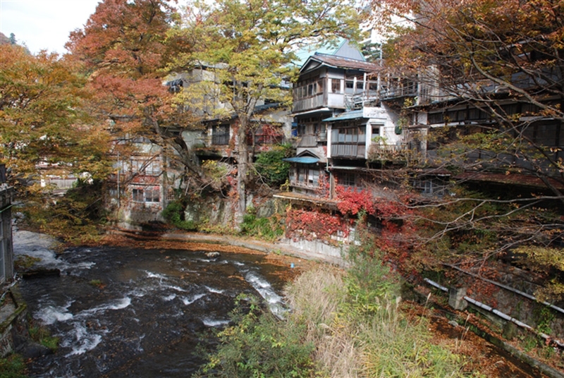 tohoku fukushima