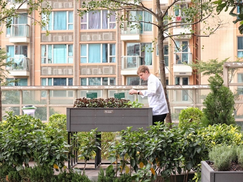 Sustainable businesses in Hong Kong: Roganic