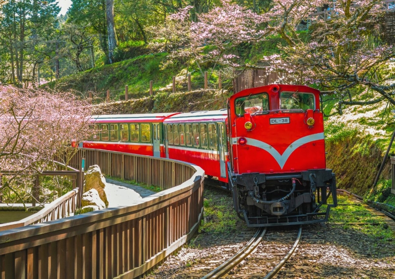 spring train trips alishan forest railway
