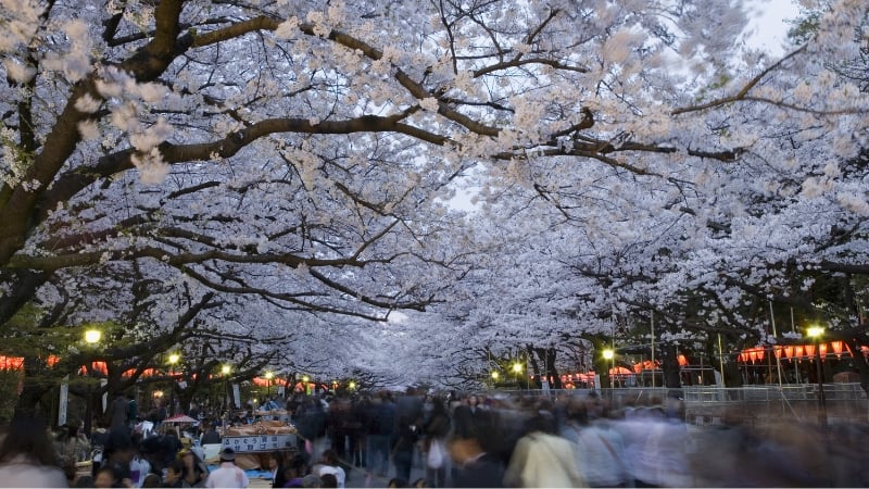 ueno park