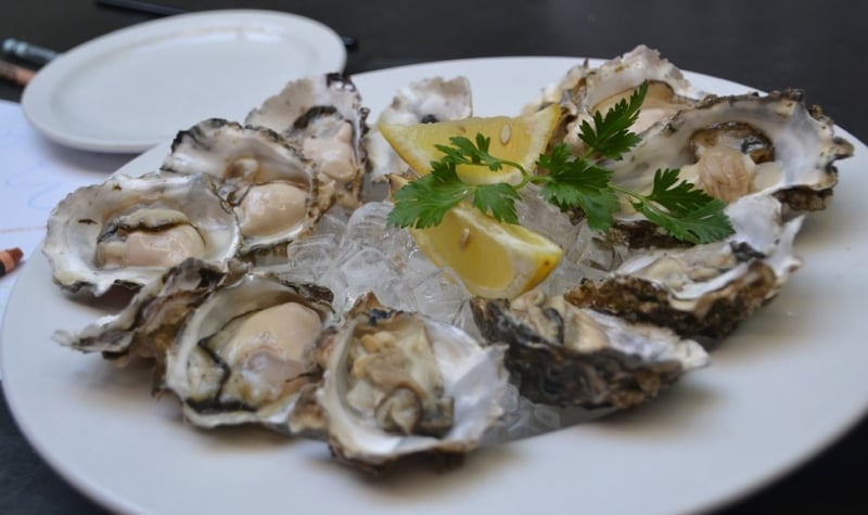 oysters at batemans bay