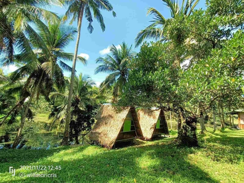 farm stays philippines