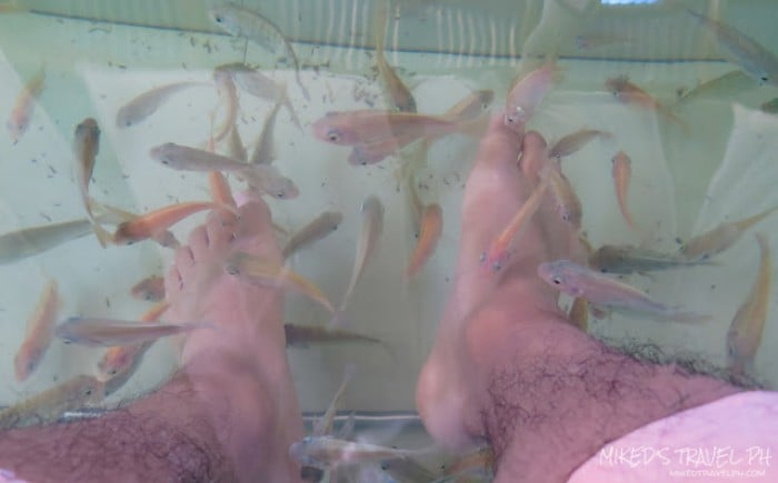 Tibiao Fish Spa