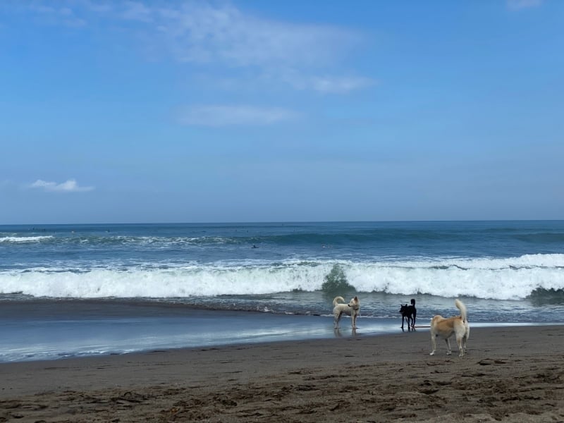 batu balong beach