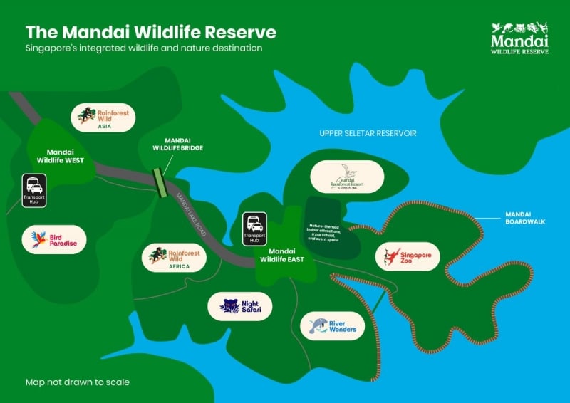 Mandai Rainforest Resort