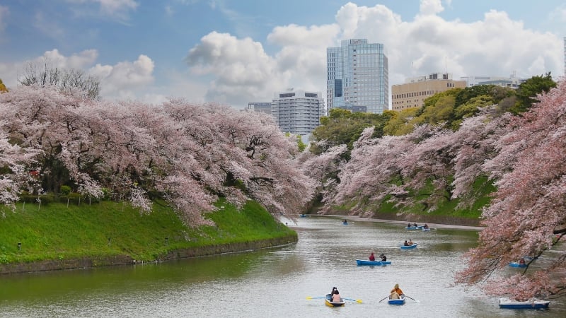 Chidorigafuchi