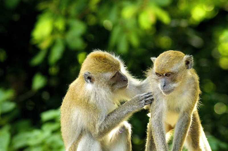 Nên Làm Khi Du Lịch Bali