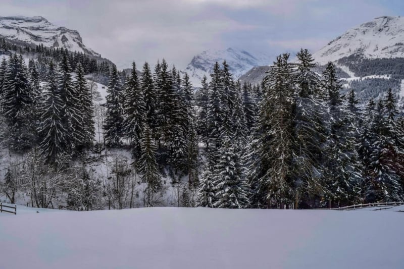 jungfraujoch adventure