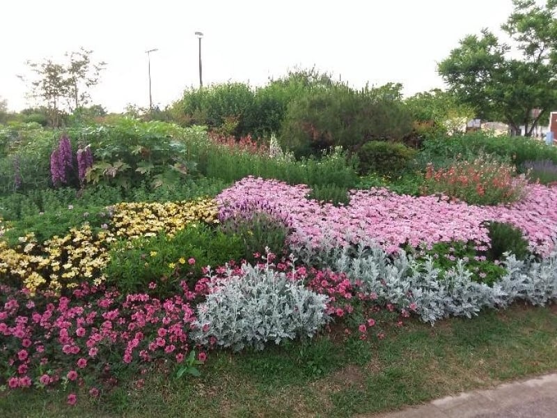 Công viên Yeouido Hangang