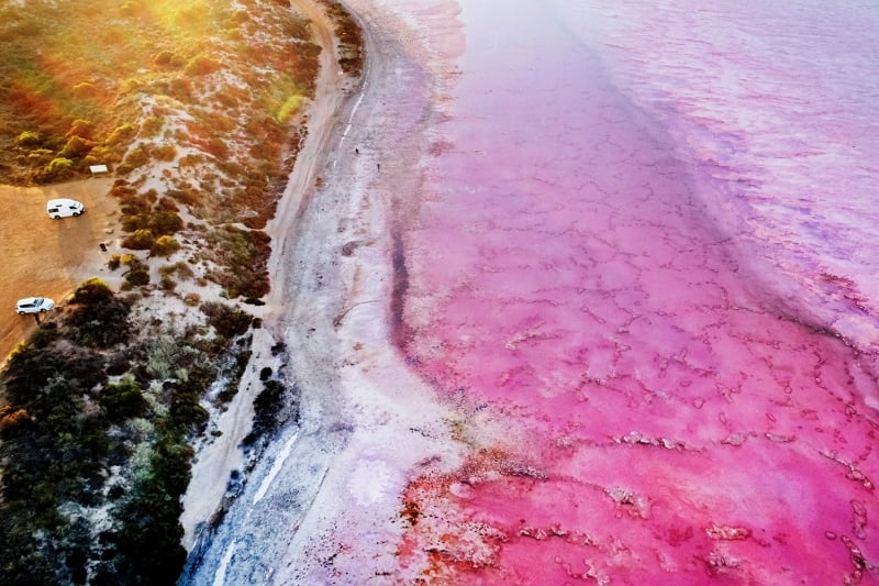 Pink Lake Hutt Lagoon Western Australia