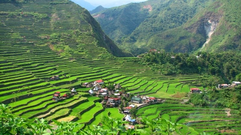 Banaue & Batad Rice Terraces in the Philippines