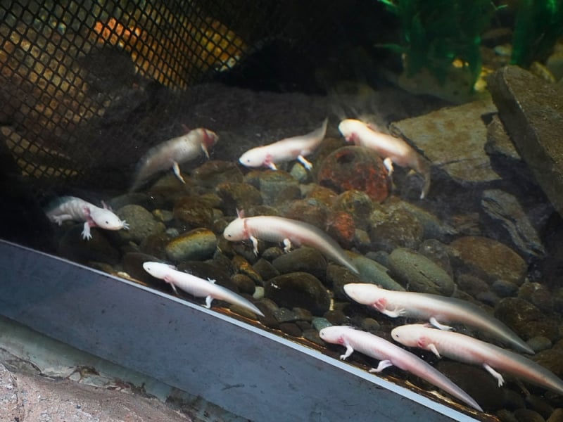 Daejeon EXPO Aquarium