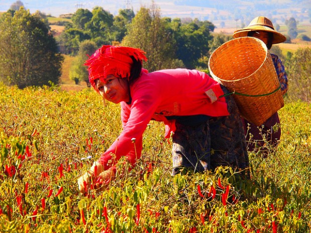 reasons to visit myanmar